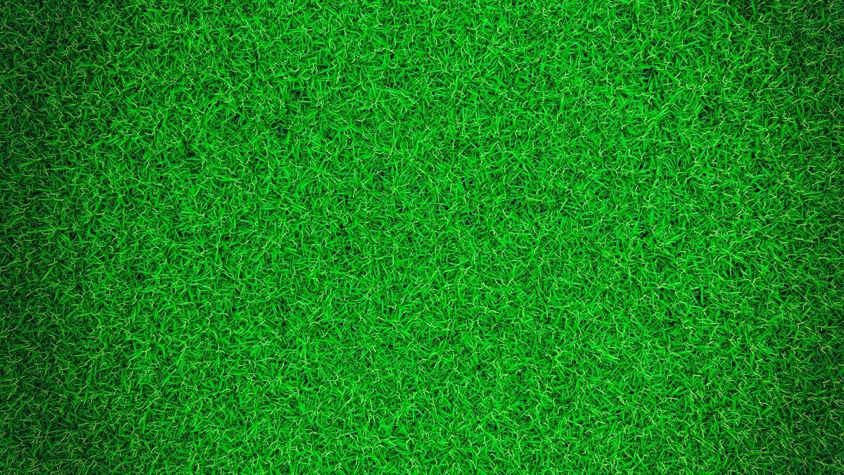 Источник: shutterstock.com