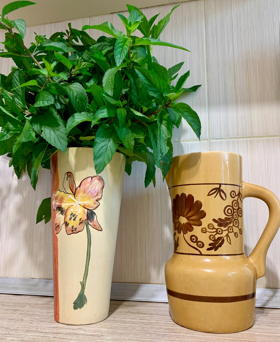 Свежая мята в чай. Очень люблю😍