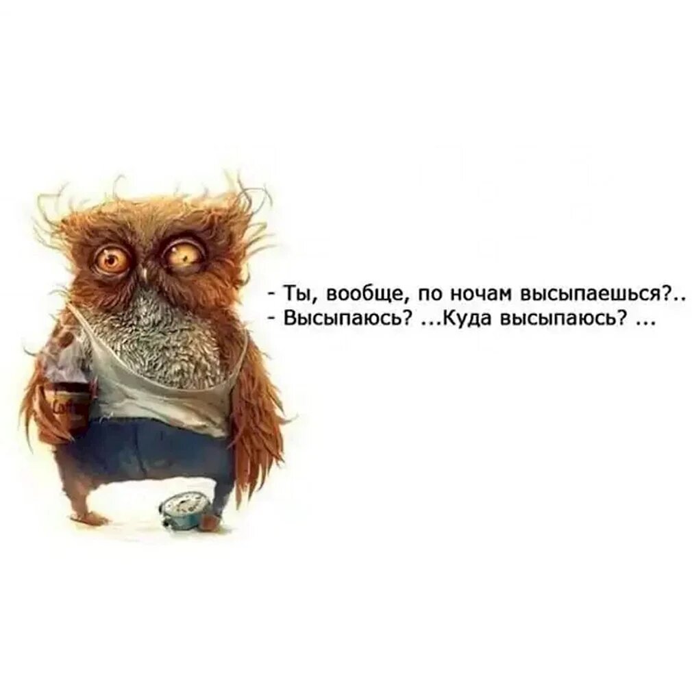 Картинка из Сети