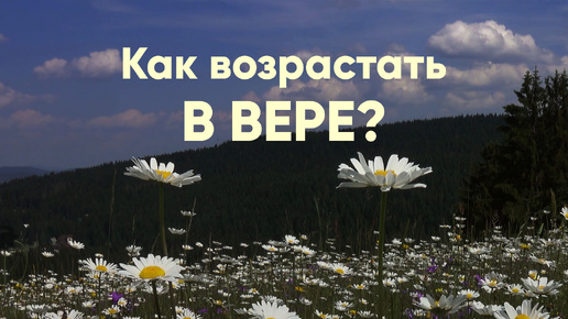 Как возрастать в вере?