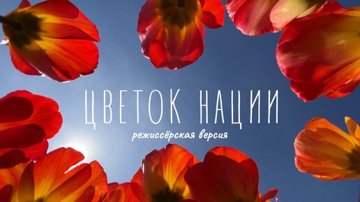 Цветок нации (режиссёрская версия)