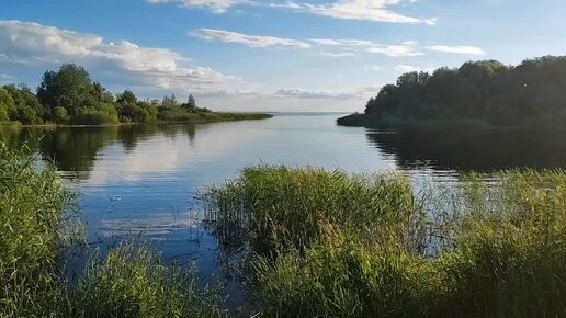 ЛАДОГА ,окрошка на квасе , поёт сердцем ,а не трусами 