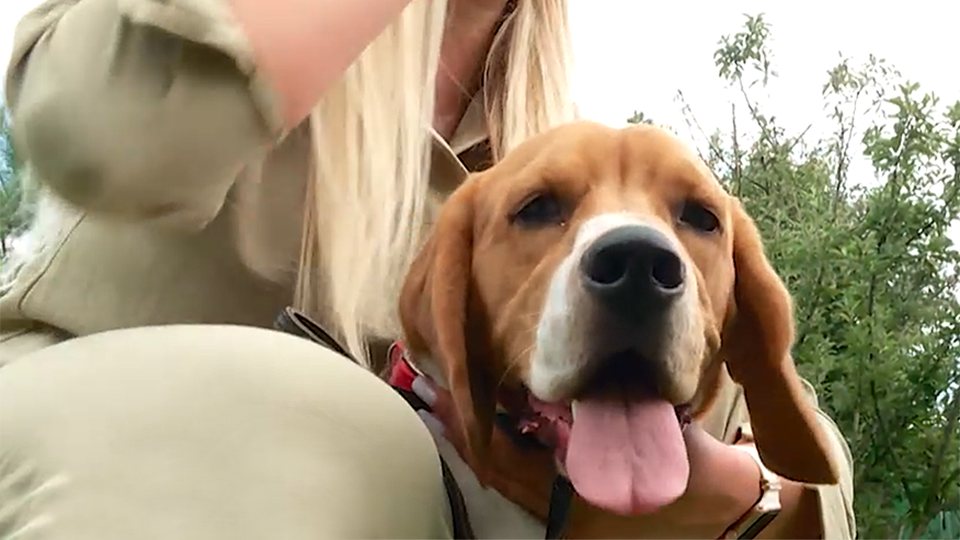 Фото: © Скриншот видео