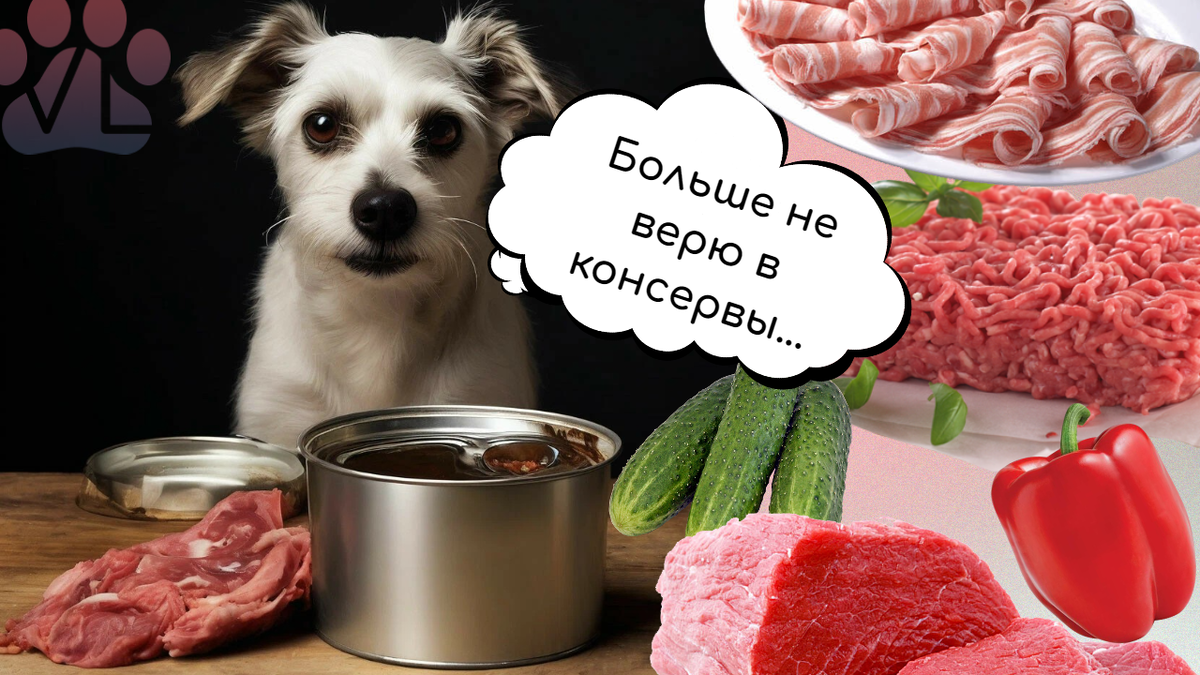 Изображение сгенерировано и доделано автором