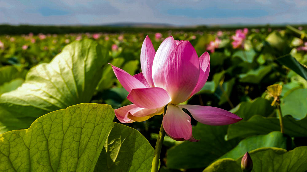 Фото: Smape_traveler / shutterstock.com