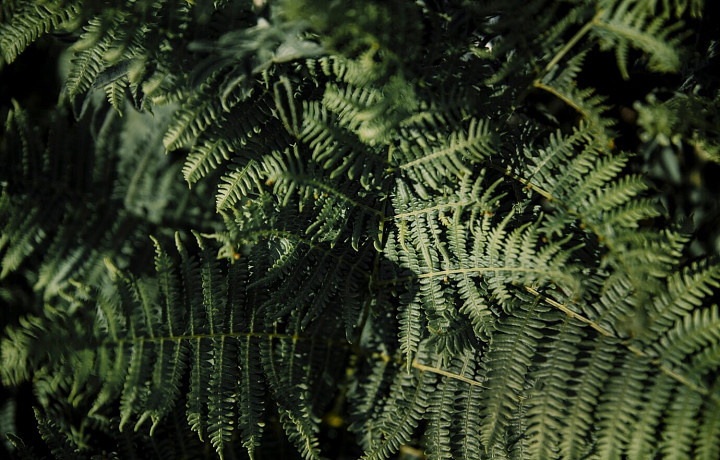 Фото: Freepik.com