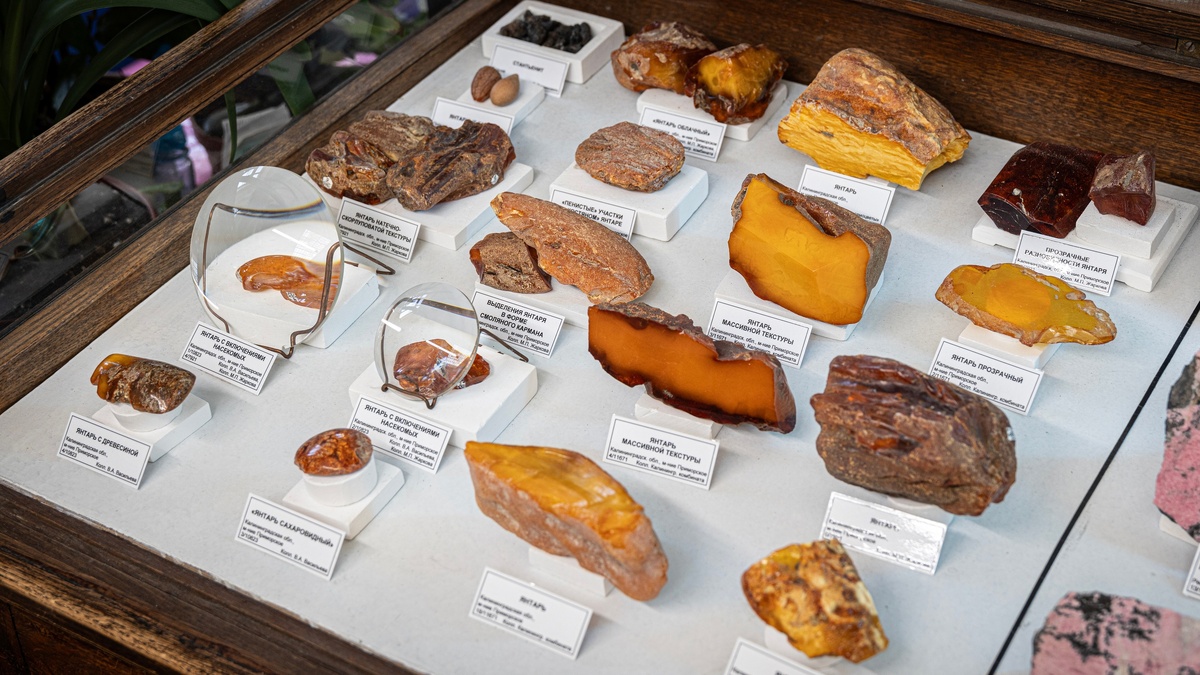 Разновидности янтаря