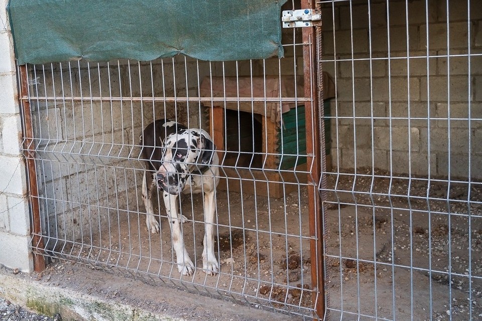    ShutterStock/Fotodom.ru