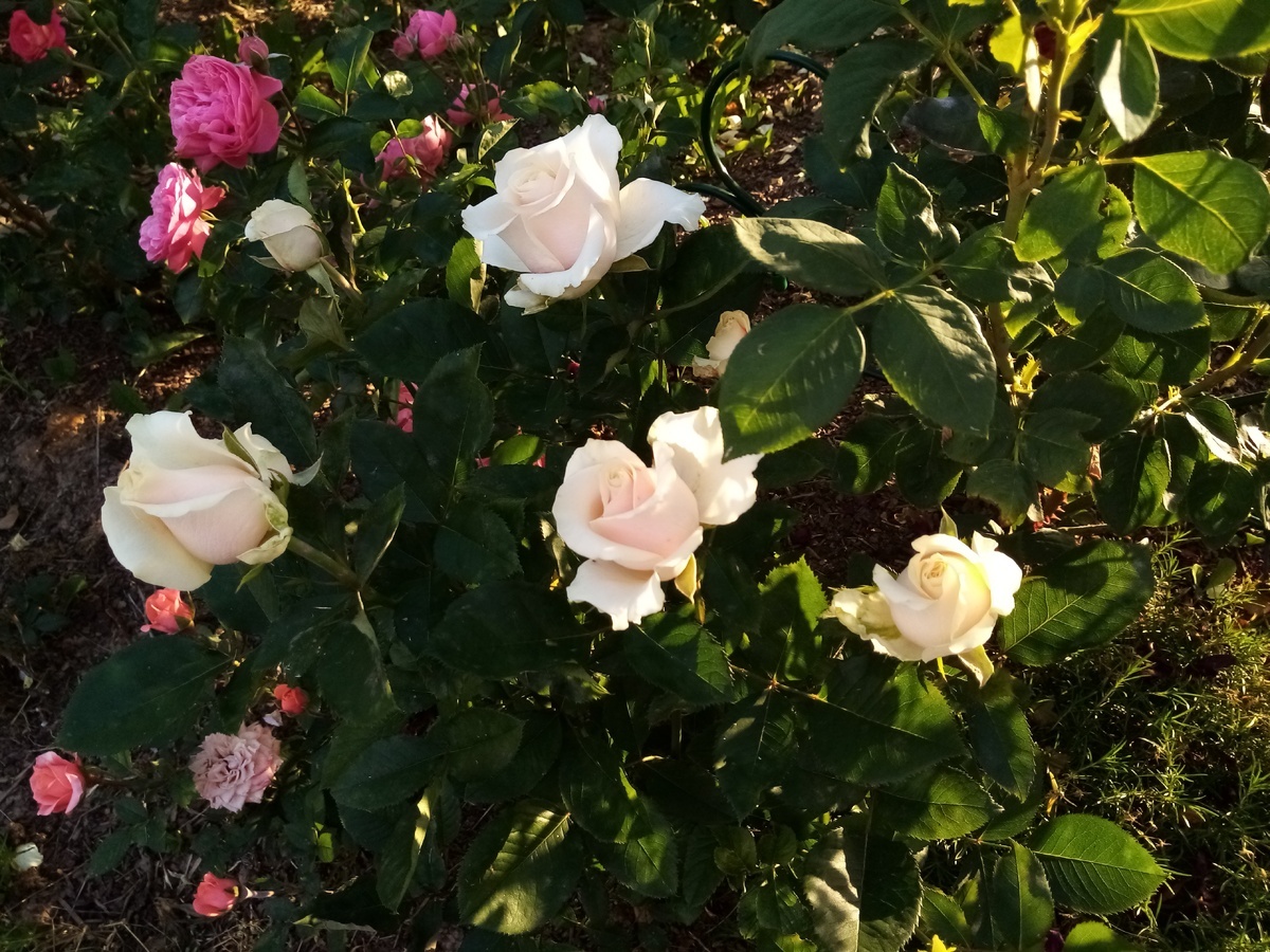 фото Оксаны