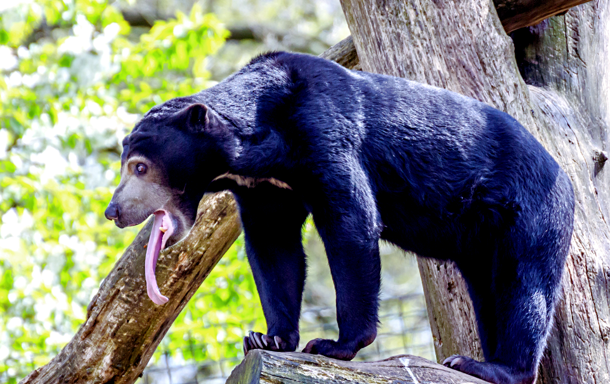 Источник фото: piczoom.ru