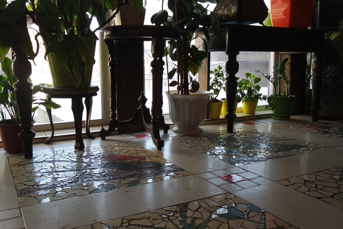 зимой на втором этаже Дома Природы особенно уютно!