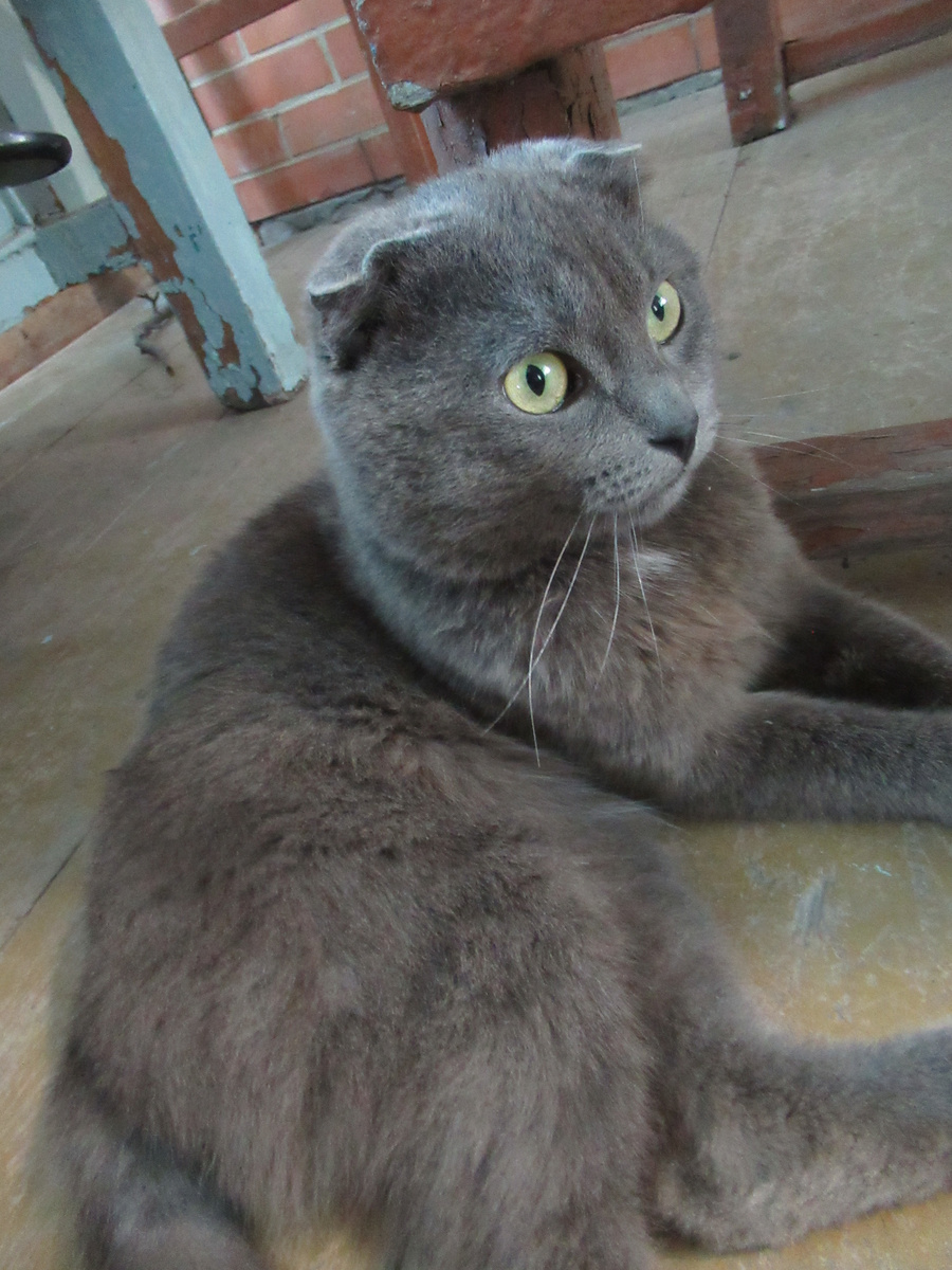 Тима через неделю после нормального кормления