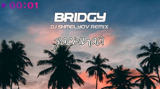 Bridgy - Засыпай | DJ Shmelyov Remix | Official Audio | 2024