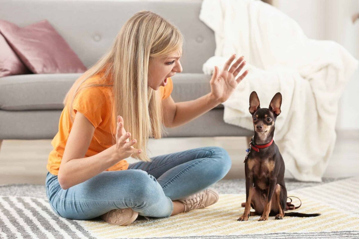 Хозяйка с собакой 