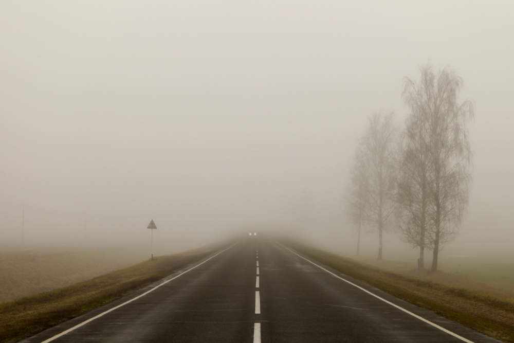 яндекс картинки