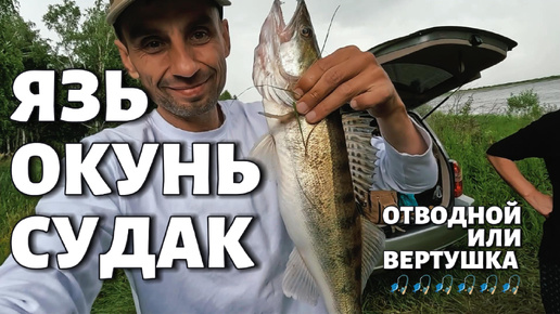 Отводной поводок или Вертушка #РЫБАЛКА 🎣 Окунь, Язь, Судак 🎣