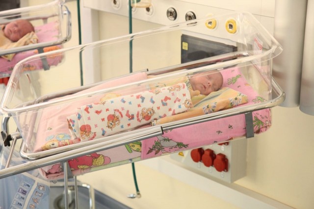   Фото: пресс-служба регионального правительства