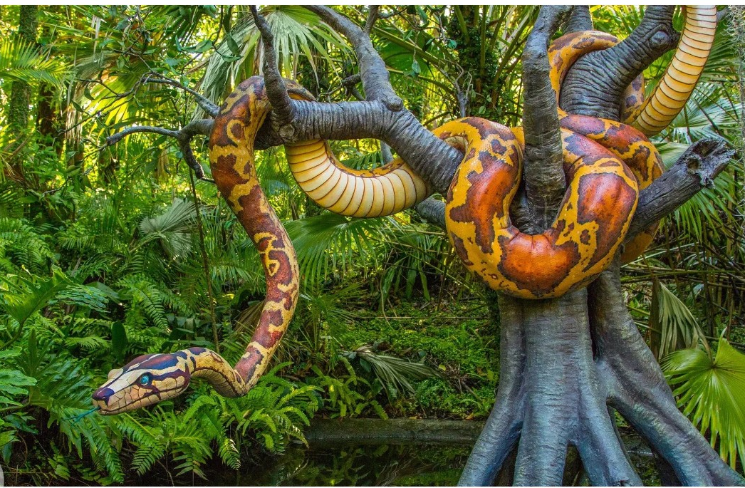 Фото взято из свободного бесплатного доступа в интернете.