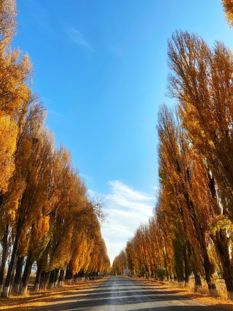 По дороге к Иссык-Кулю.