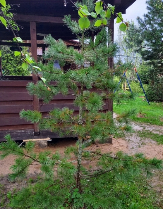 Красота же. 