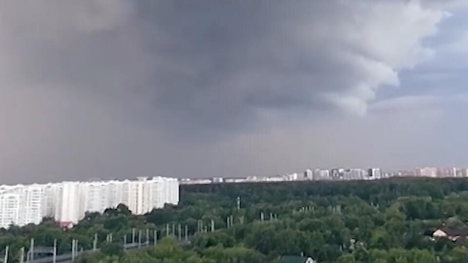 Фото: © Скриншот видео