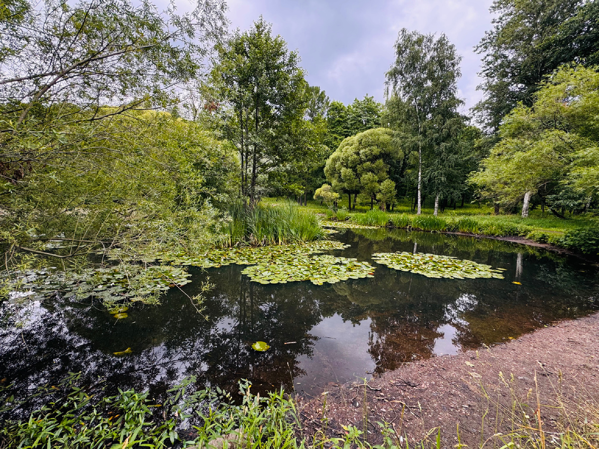 Парк Лесотехнической академии