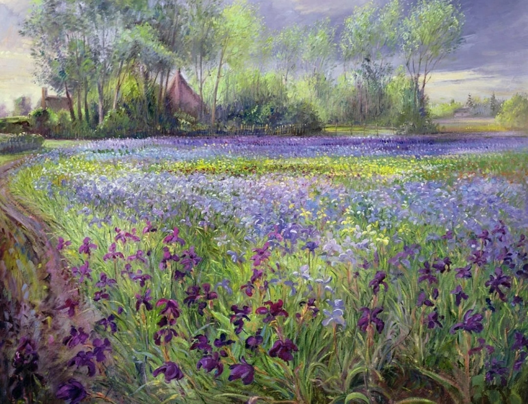 Поле с ирисами. Художник Тимоми Истон.