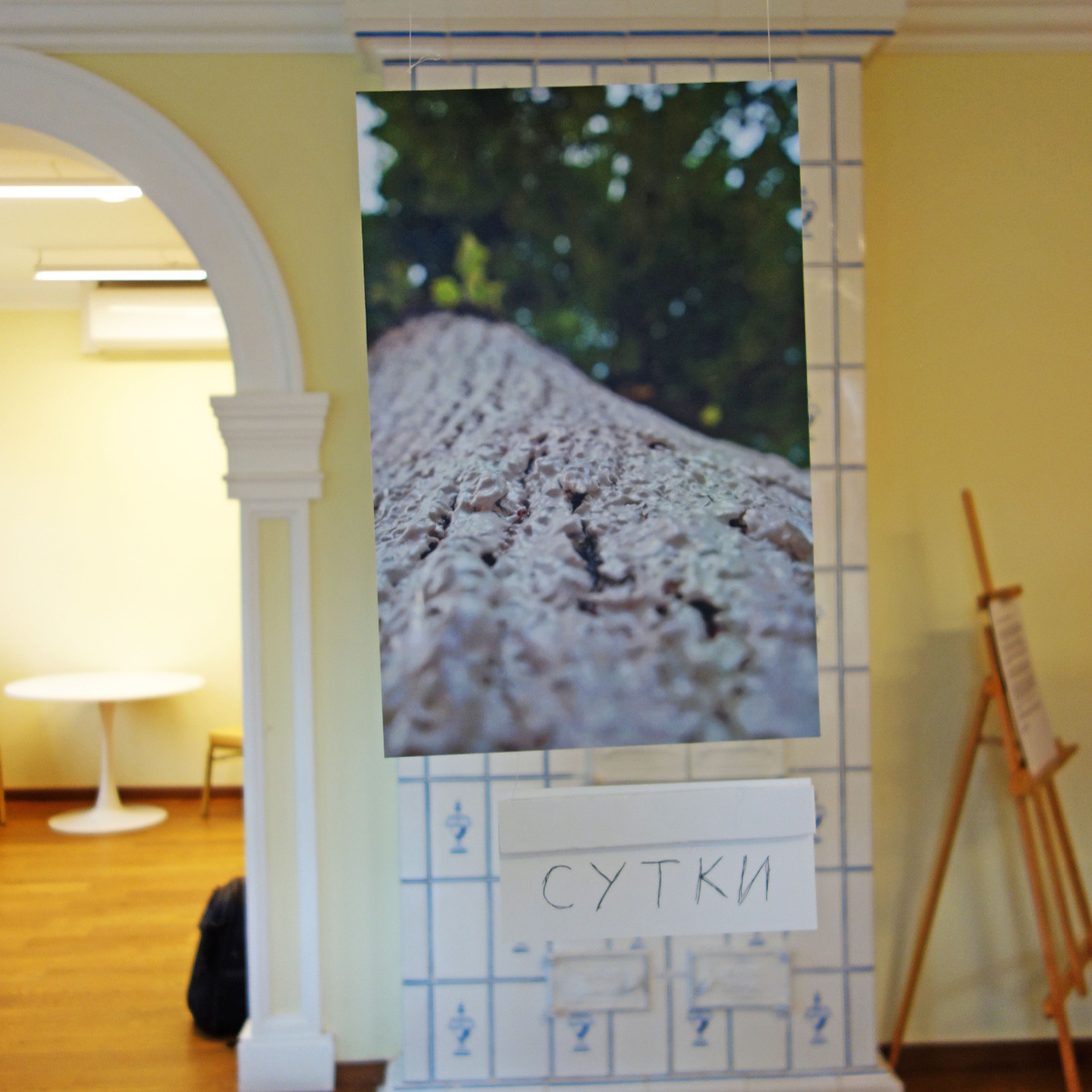 «Кошкины слёзки». В Туле есть магазин «Мадам Кошкина», дерево рядом с ним было покрашено в красный цвет, но потом в ходе городского благоустройства его перекрасили. И теперь из-под толстого слоя белой краски поблёскивают красные кошкины слёзки». Фото этого дерева вынесено и на афишу. Листайте карусель.