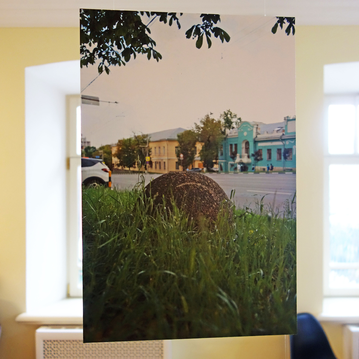 «Ёжик». От автора: «Я вырос на Зеленстрое. Тогда это действительно был один из самых зелёных и уютных районов города. Сейчас он щедро заставлен новостройками. В детстве по вечерам, когда мы играли в прятки или футбол, мы частенько встречали ежей - серых и колючих. И каждый раз это вызывало неподдельный восторг! Эта фотография о тоске. По тем дворам, которые раньше были совсем другими. И по тем наивным и чистым детским эмоциям, которые мы уже вряд ли сможем испытать во взрослой жизни». 