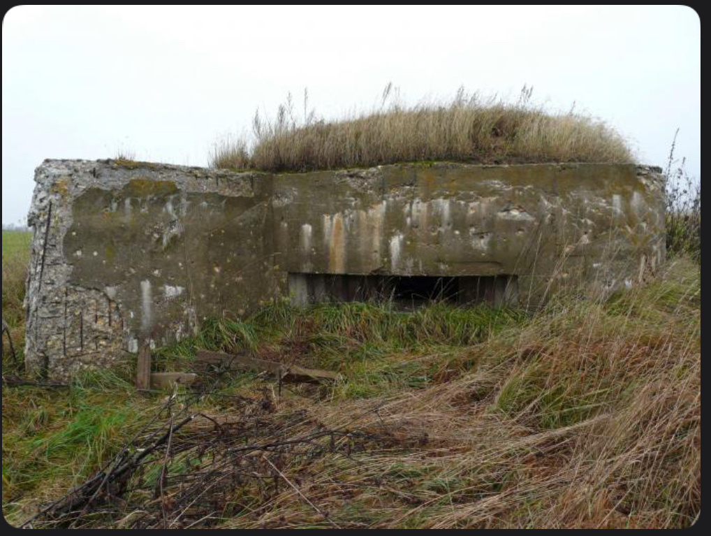 Скриншот с Vetus maps