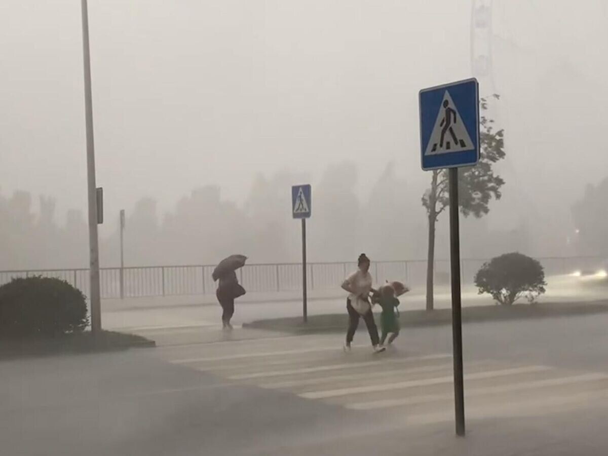    Гроза, ливень и ураганный ветер в Москве© РИА Новости