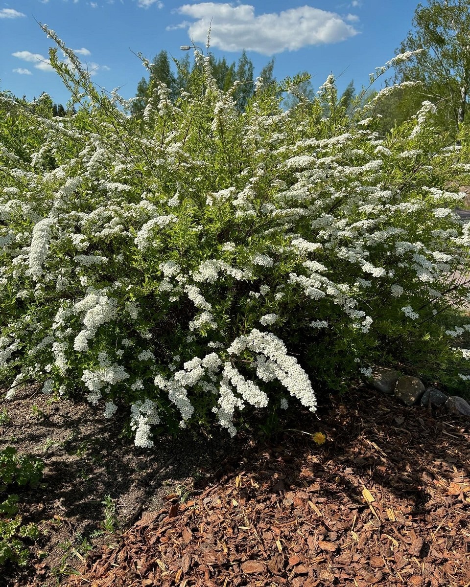    Соцсети блогера minvardag73