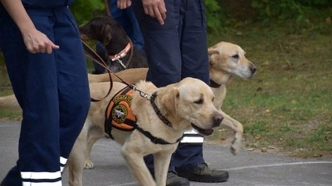    Фото: EMERCOM of Russia/Globallookpress.