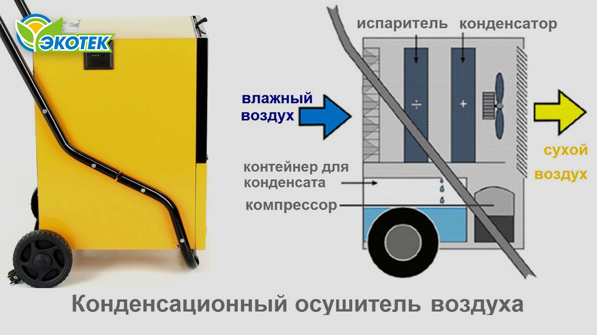 Конденсационный осушитель воздуха: изучаем принцип работы. Экотек