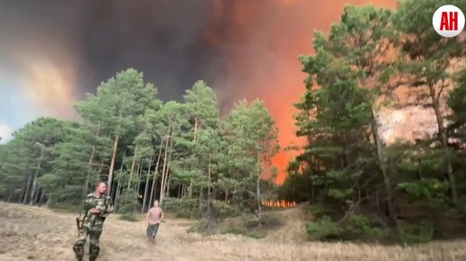 В Херсонской области жгут леса. Противник устраивают массовые пожары на контролируемой Россией стороне Днепра.