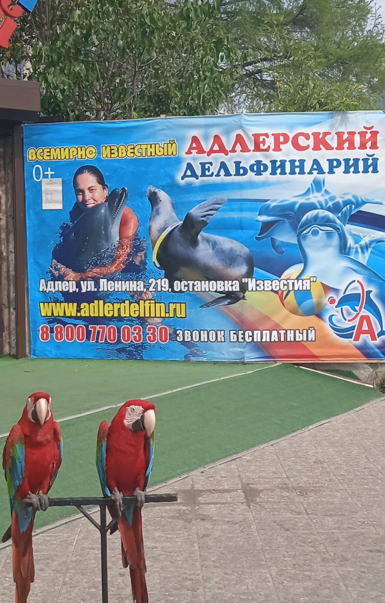 Вход в дельфинарий 