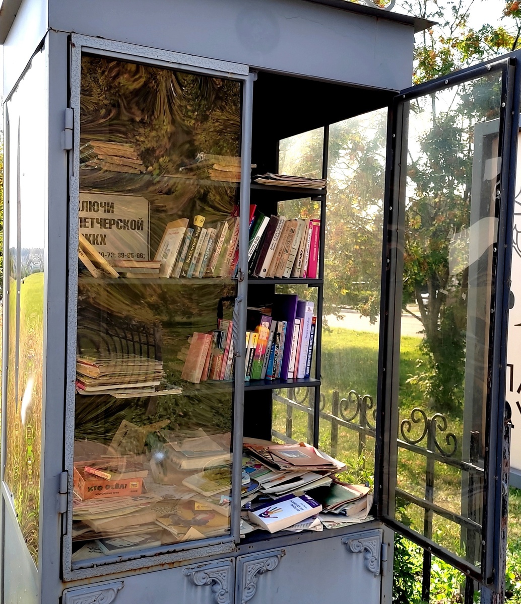 Шкаф с книгами. Стеклянные дверцы обычно закрыты. 
