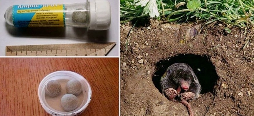 ЗЕМЛЕДЕЛИЕ