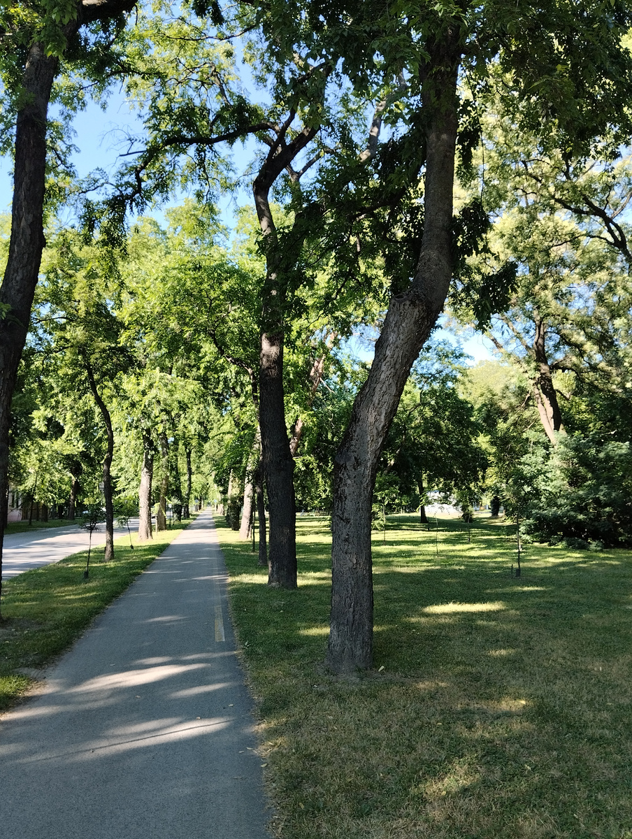 Фото моё