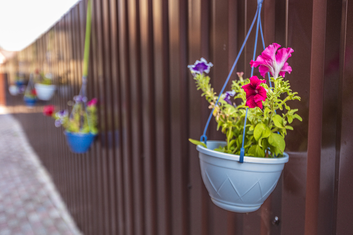 Фото из архива Life Pension