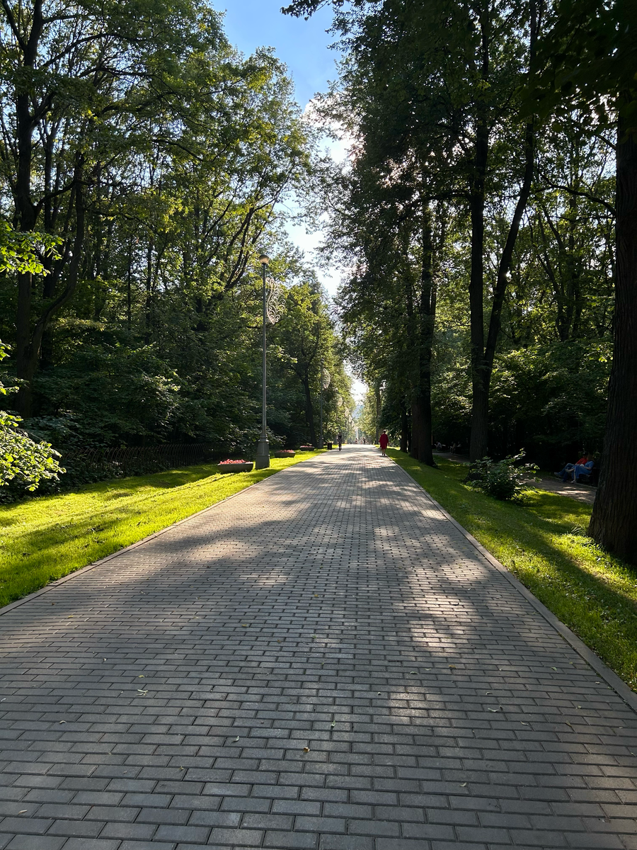 Центральная аллея