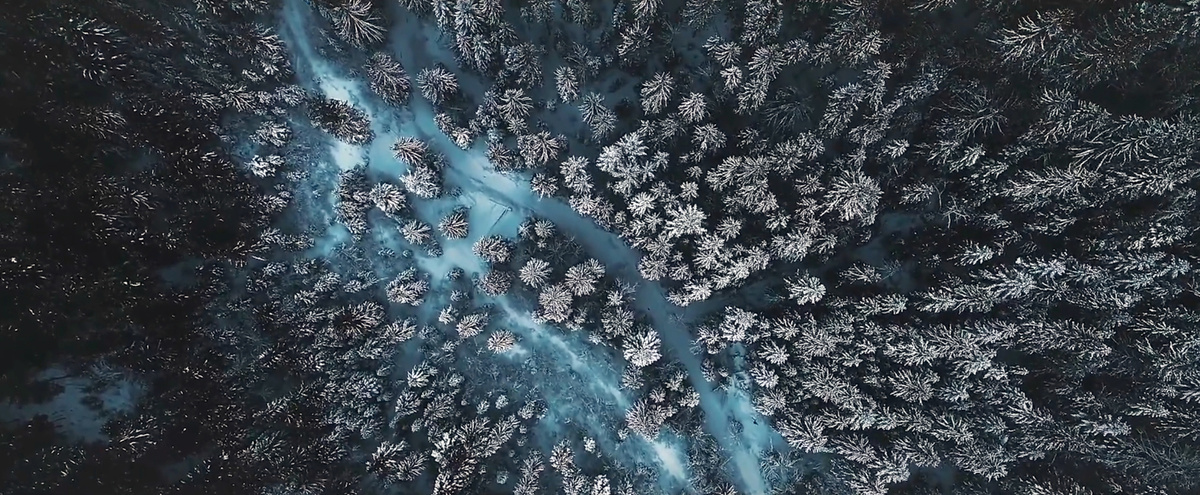 Фото из фильма:Нечто. Новый вид