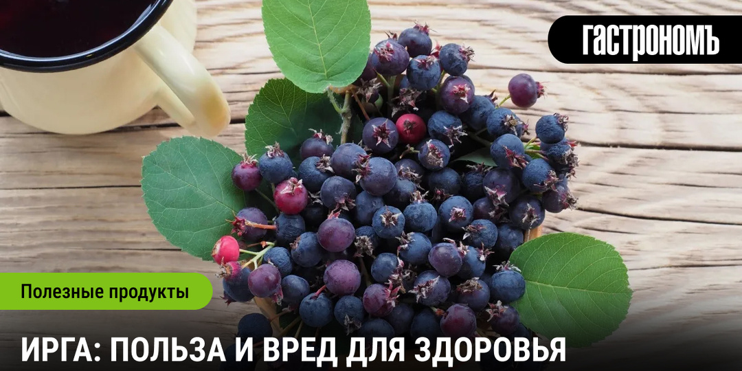 Ирга: польза и вред