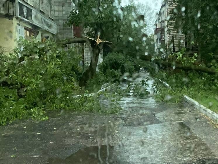     Фото: "МК в Калуге"