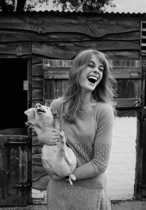 Дэвид Херн. Джин Шримптон на семейной ферме. Джин (известная как Шримп) больше, чем любая другая модель 60-х, может претендовать на звание первой в мире супермодели. Хай-Уикомб. 1966 год. 