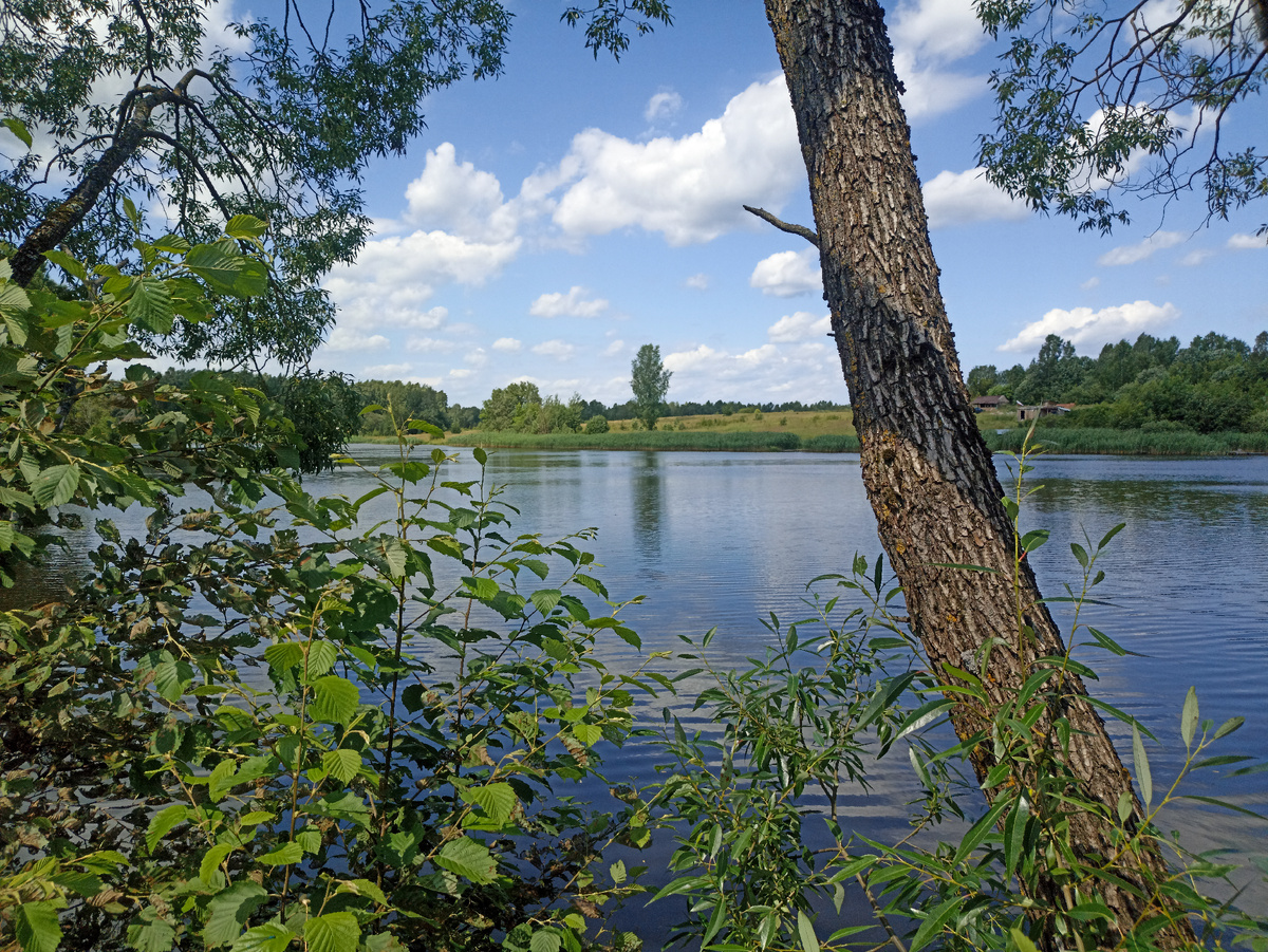 Летний пейзаж. Листайте галерею