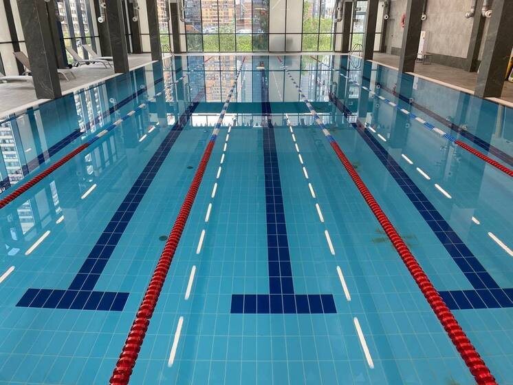     Фото: МК в Питере