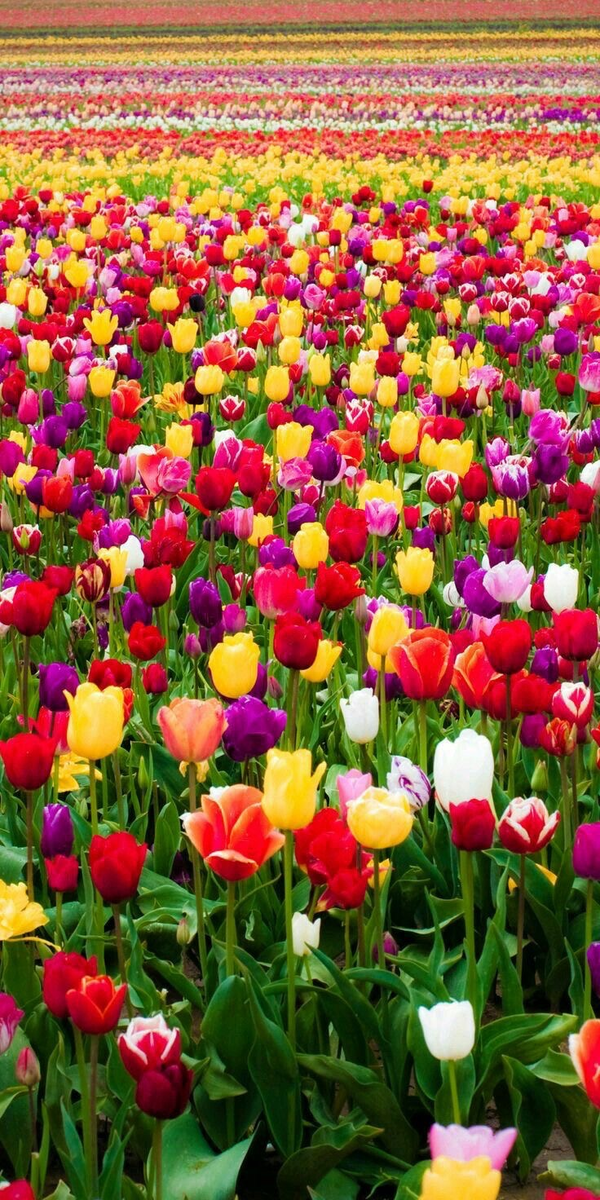 Источник: Pinterest 