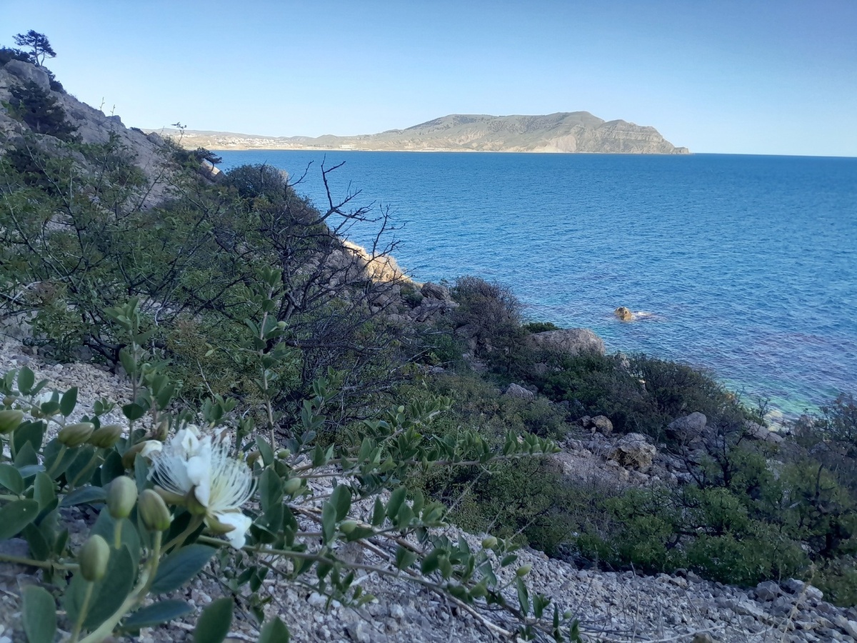 Личные фото.