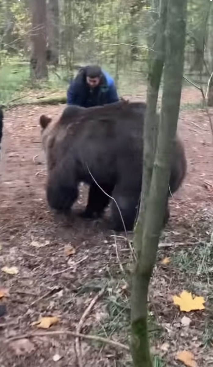 Встреча с медведем